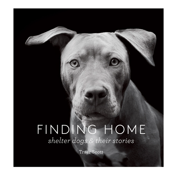 Finding Home