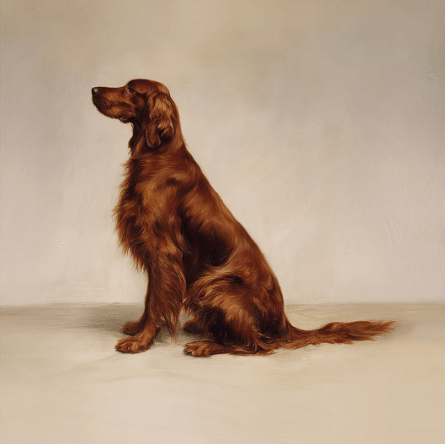 A Seated Jack Russell Framed Print