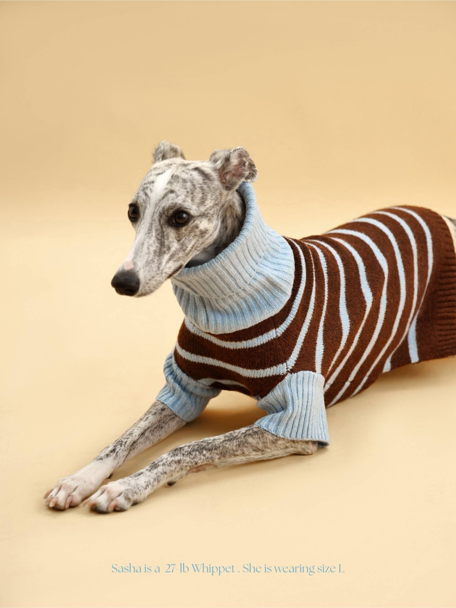 Bluebell Stripes Sweater - THE BOXER