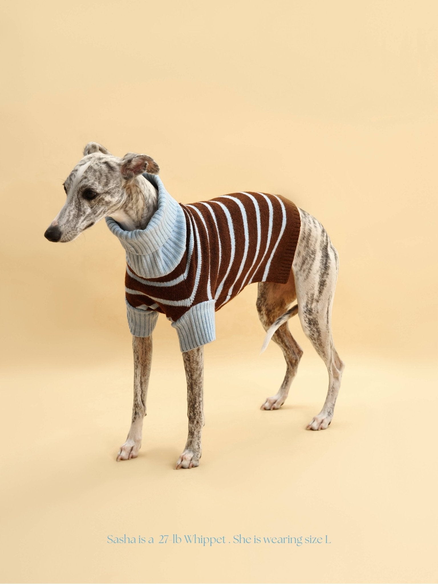 Bluebell Stripes Sweater - THE BOXER