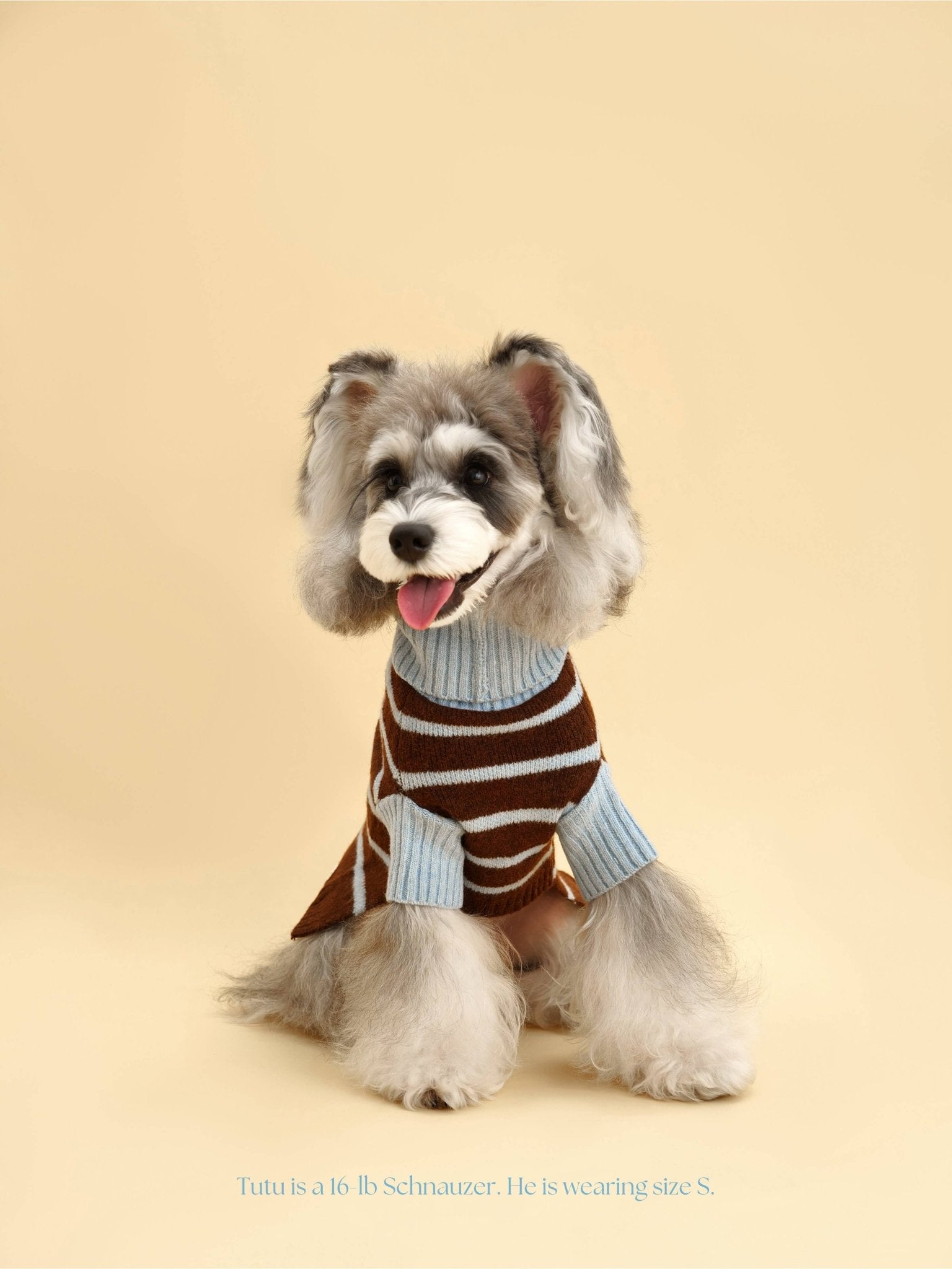 Bluebell Stripes Sweater - THE BOXER