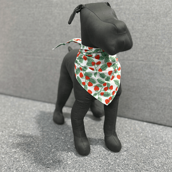 Henley Berry Bandana - THE BOXER