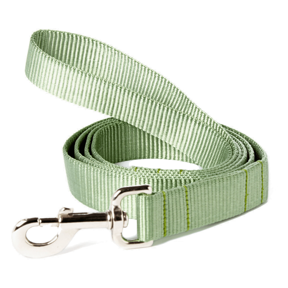 Nylon Webbing Dog Leash - THE BOXER