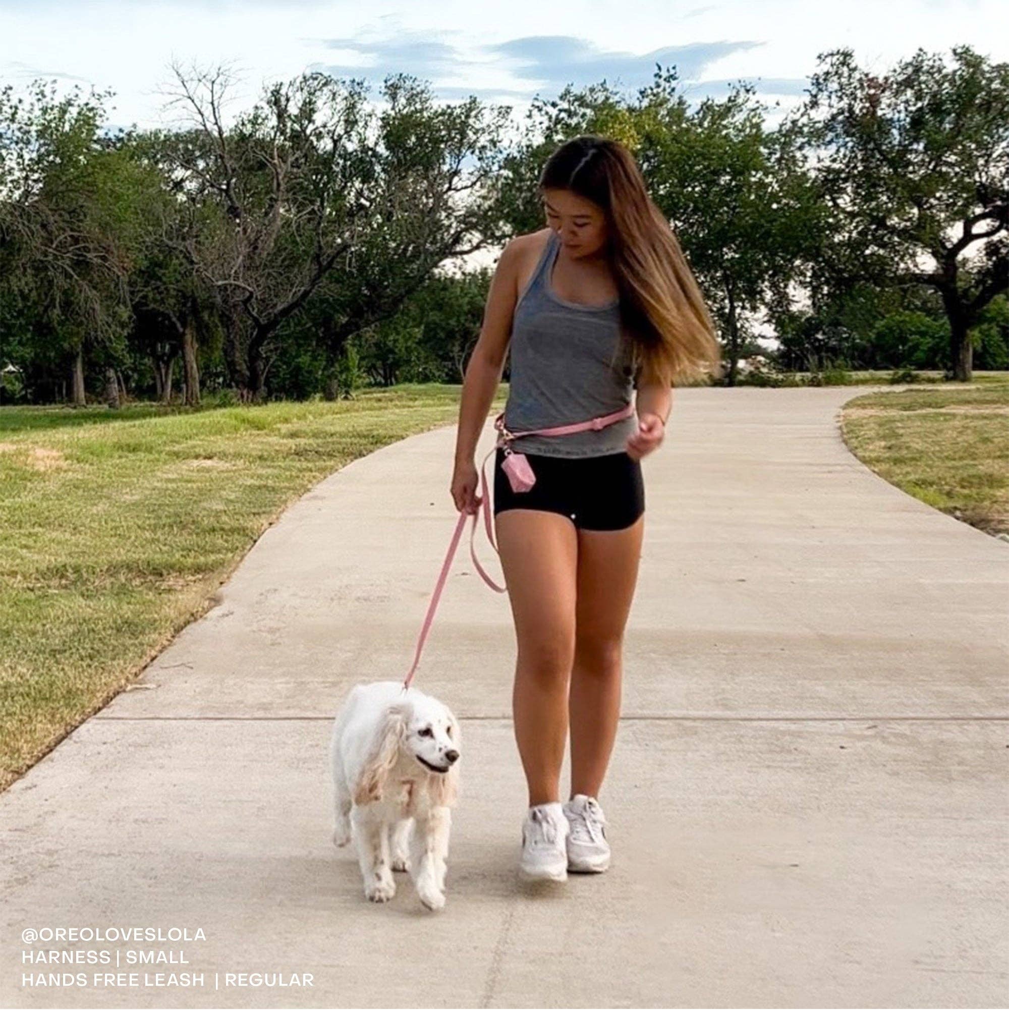4 - in - 1 Convertible Hands Free Cloud Dog Leash - THE BOXER