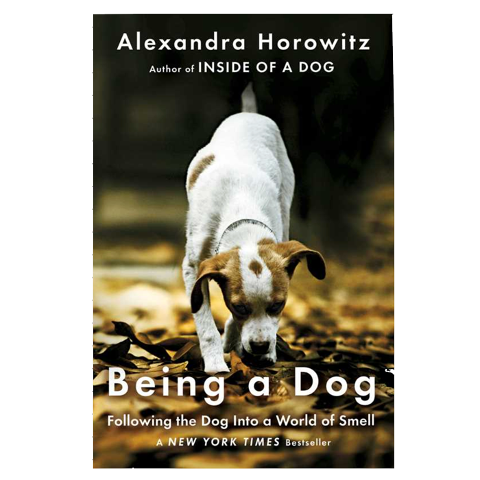 Being a Dog by Alexandra Horowitz