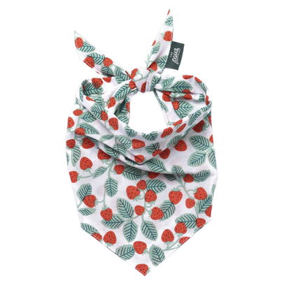 Henley Wild Berry Bandana