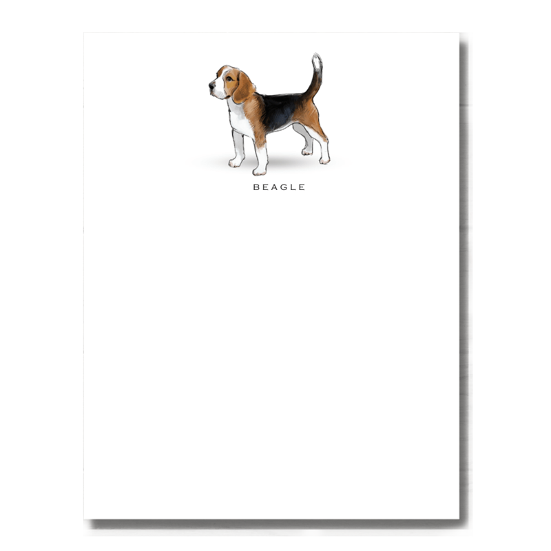 Beagle Note Cards - Set of 6
