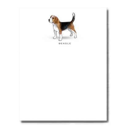 Beagle Note Cards - Set of 6