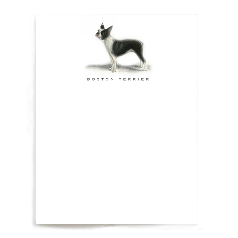 Boston Terrier Note Cards - Set of 6