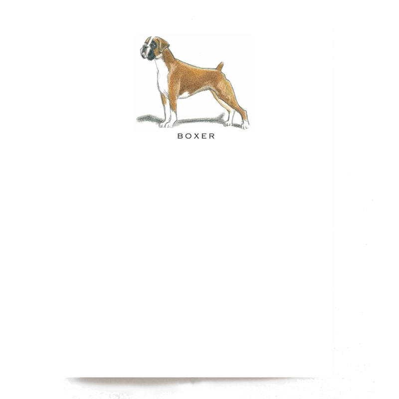 Boxer Note Cards - Set of 6