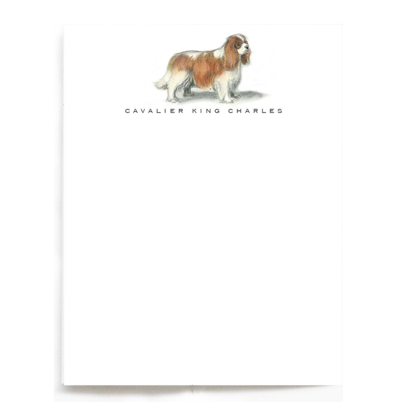 Cavalier King Charles Not Cards - Set of 6