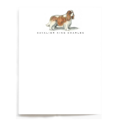 Cavalier King Charles Not Cards - Set of 6