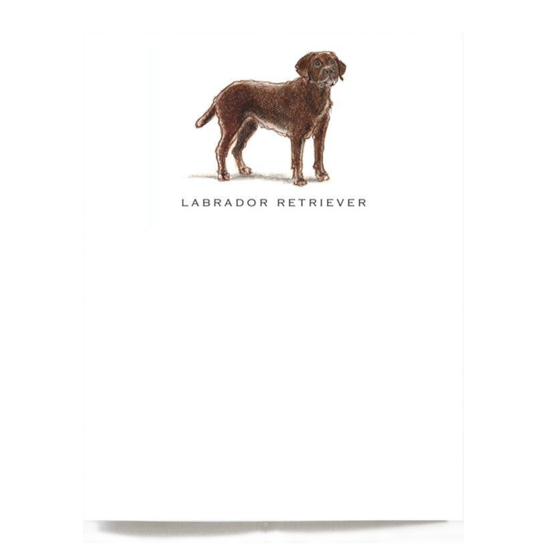 Chocolate Labrador Note Cards - Set of 6