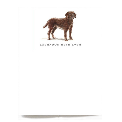 Chocolate Labrador Note Cards - Set of 6