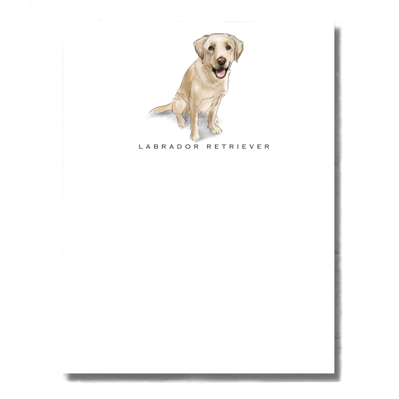 Yellow Labrador Note Cards - Set of 6