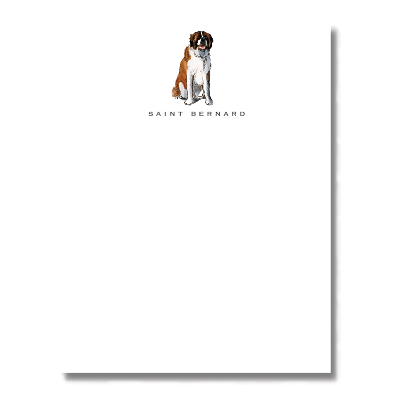 Saint Bernard Note Cards - Set of 6