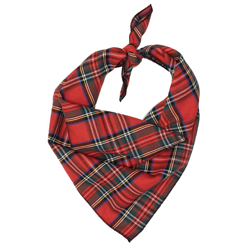 Red Plaid Bandana