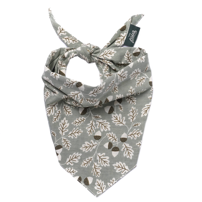 Sage Boone Dog Bandana