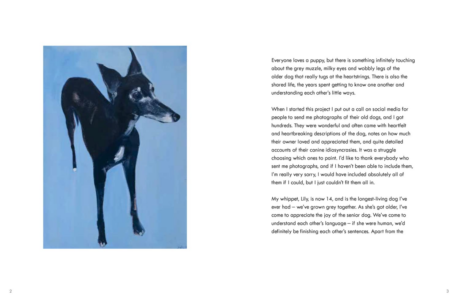 Old Dogs: Sally Muir