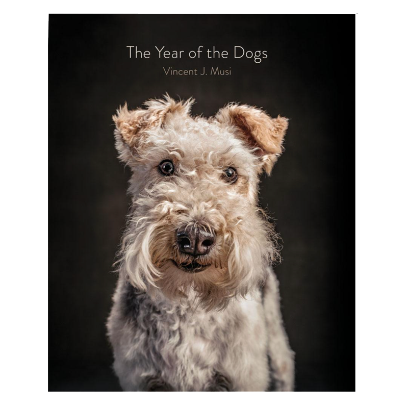 Year of the Dogs