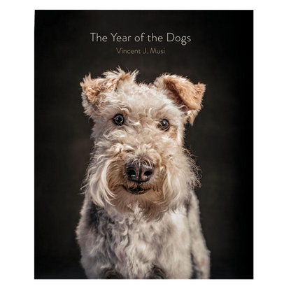 Year of the Dogs