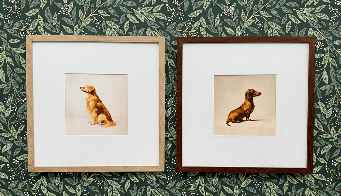 A Seated Jack Russell Framed Print