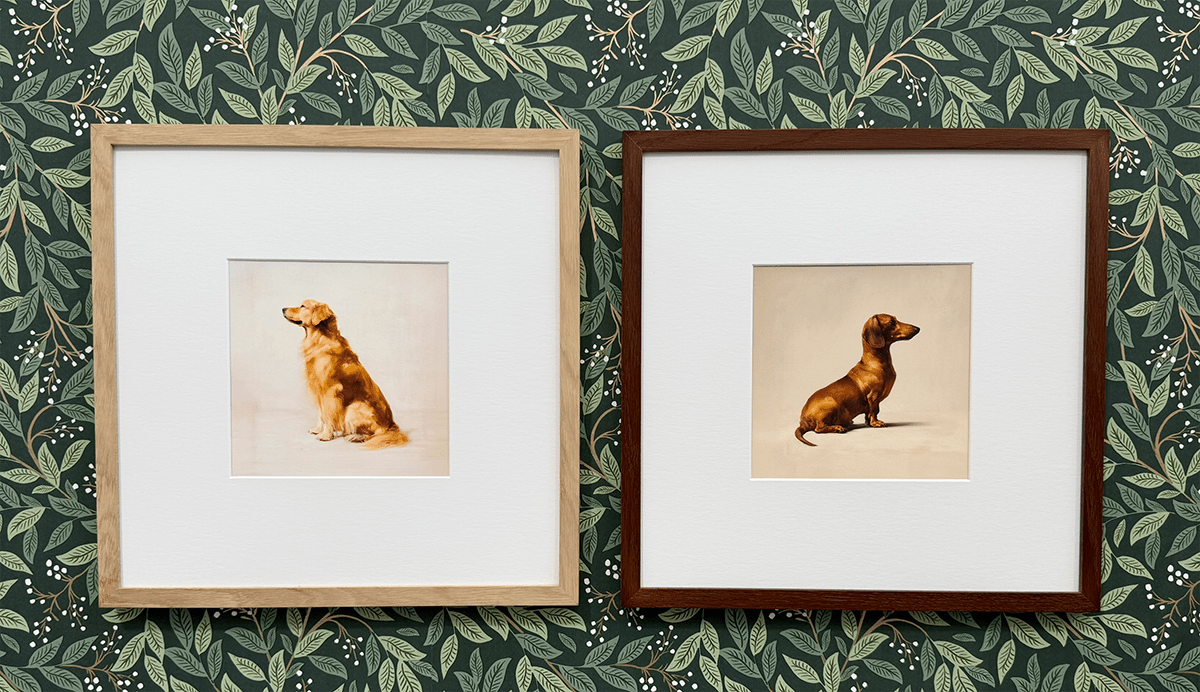 A Seated Jack Russell Framed Print
