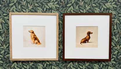 A Seated Jack Russell Framed Print