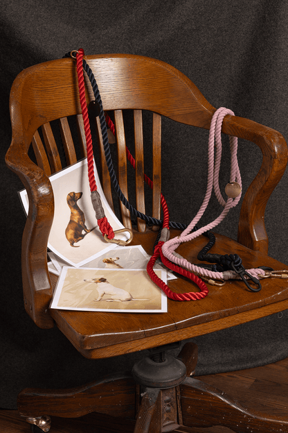 A Seated Red Dachshund Framed Print - THE BOXER