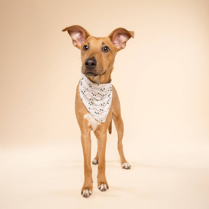 Roam Dog Bandana