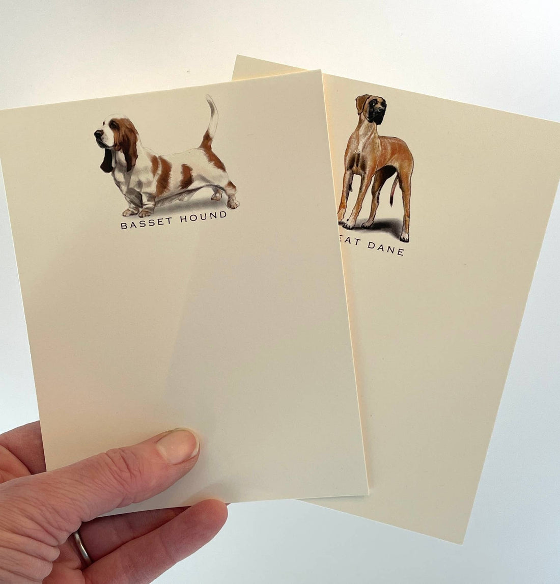 Dog Note Cards | Basset | Set of 6 - THE BOXER