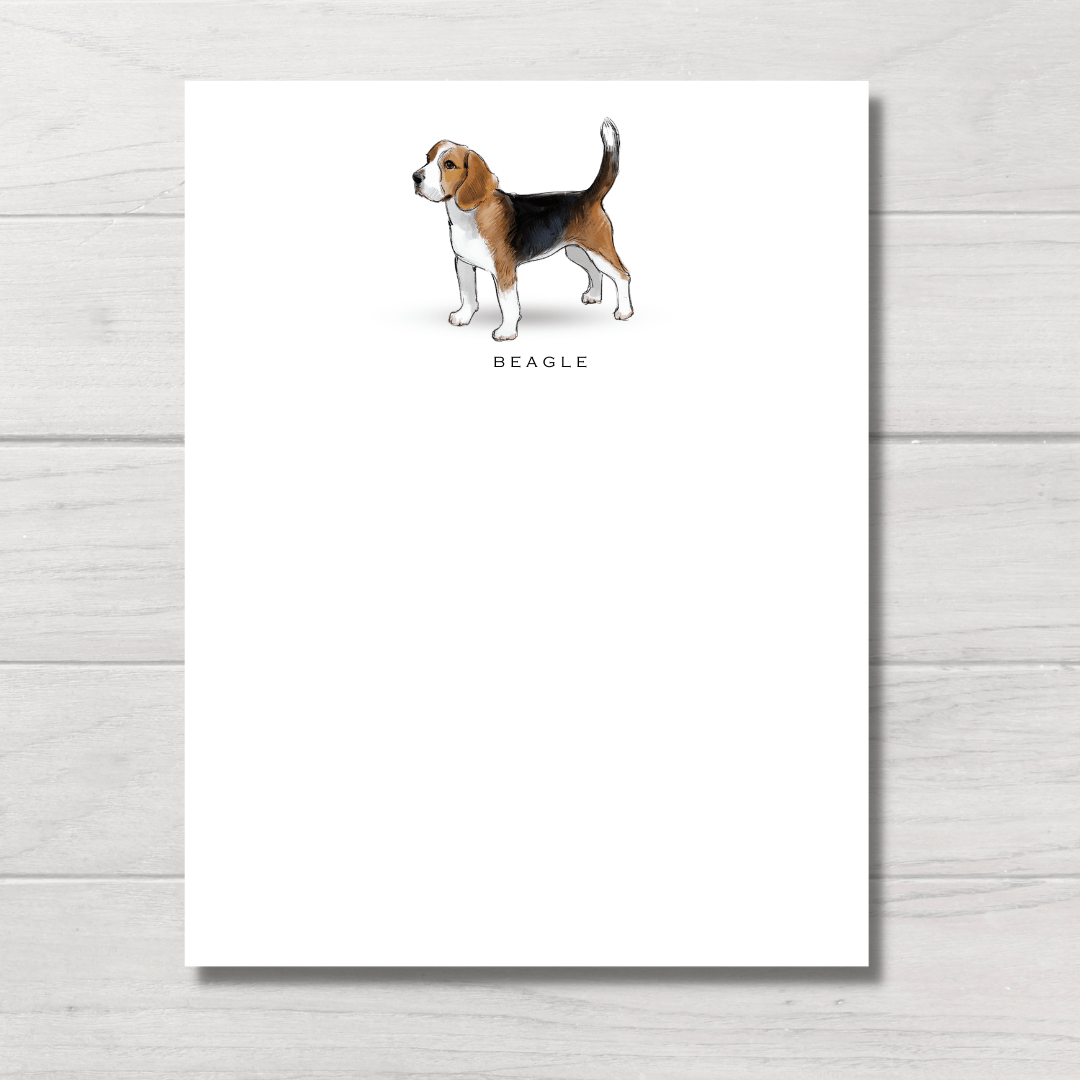 Dog Note Cards | Beagle | Set of 6 - THE BOXER