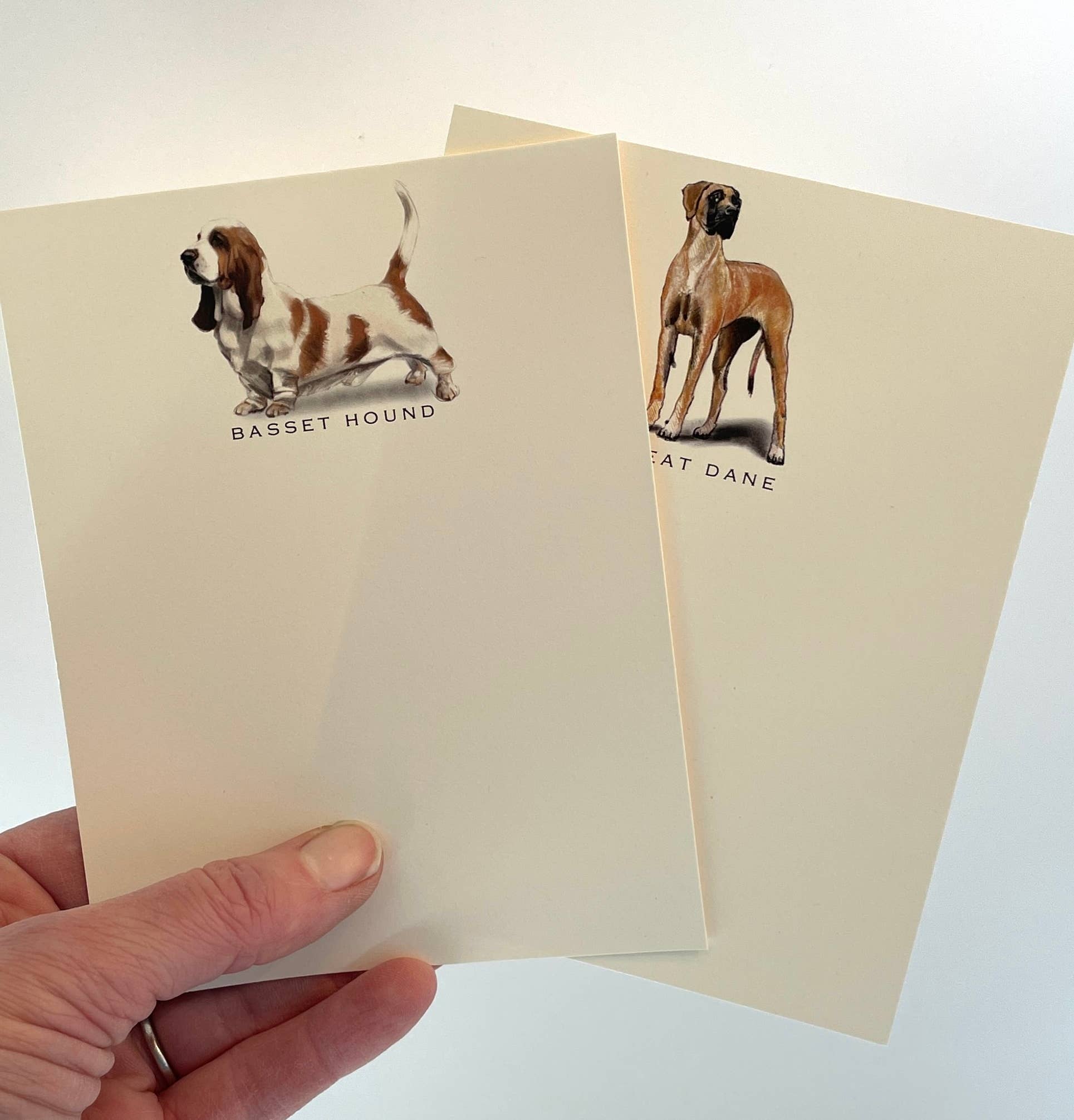 Dog Note Cards | French Bulldog | Set of 6 - THE BOXER