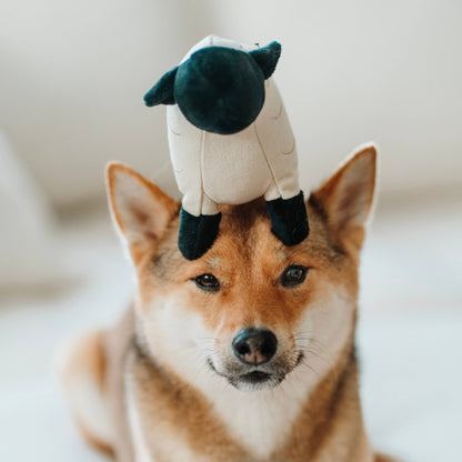 Dolly Toy - THE BOXER