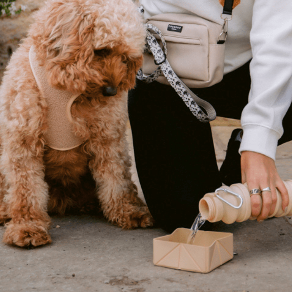 Foldable Travel Bowl - Beige - THE BOXER