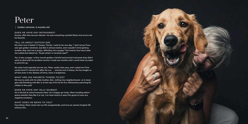 Gotcha Day - THE BOXER