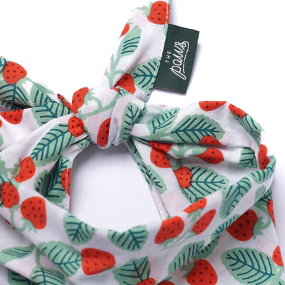 Henley Berry Bandana - THE BOXER