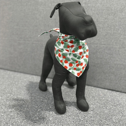 Henley Berry Bandana - THE BOXER