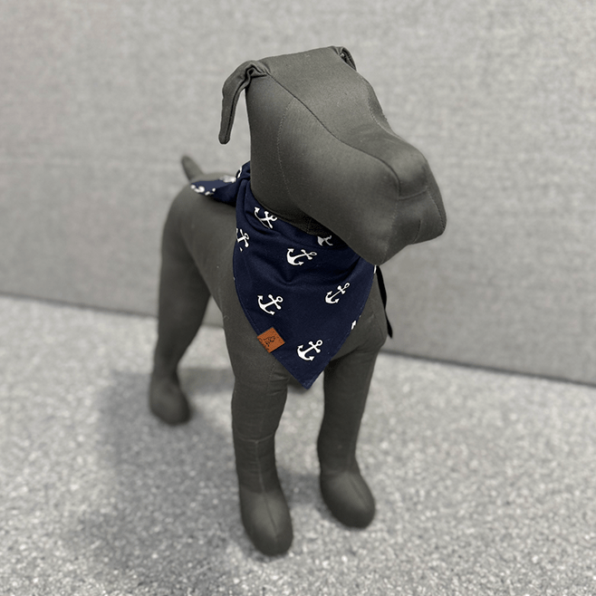 Lost at Sea Dog Bandana - THE BOXER
