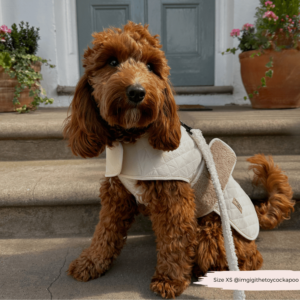 LUXE Quilted Dog Coat - Creamy Chai - THE BOXER