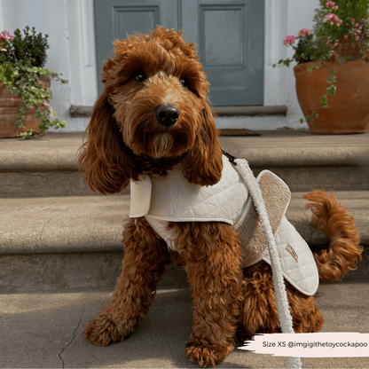 LUXE Quilted Dog Coat - Creamy Chai - THE BOXER