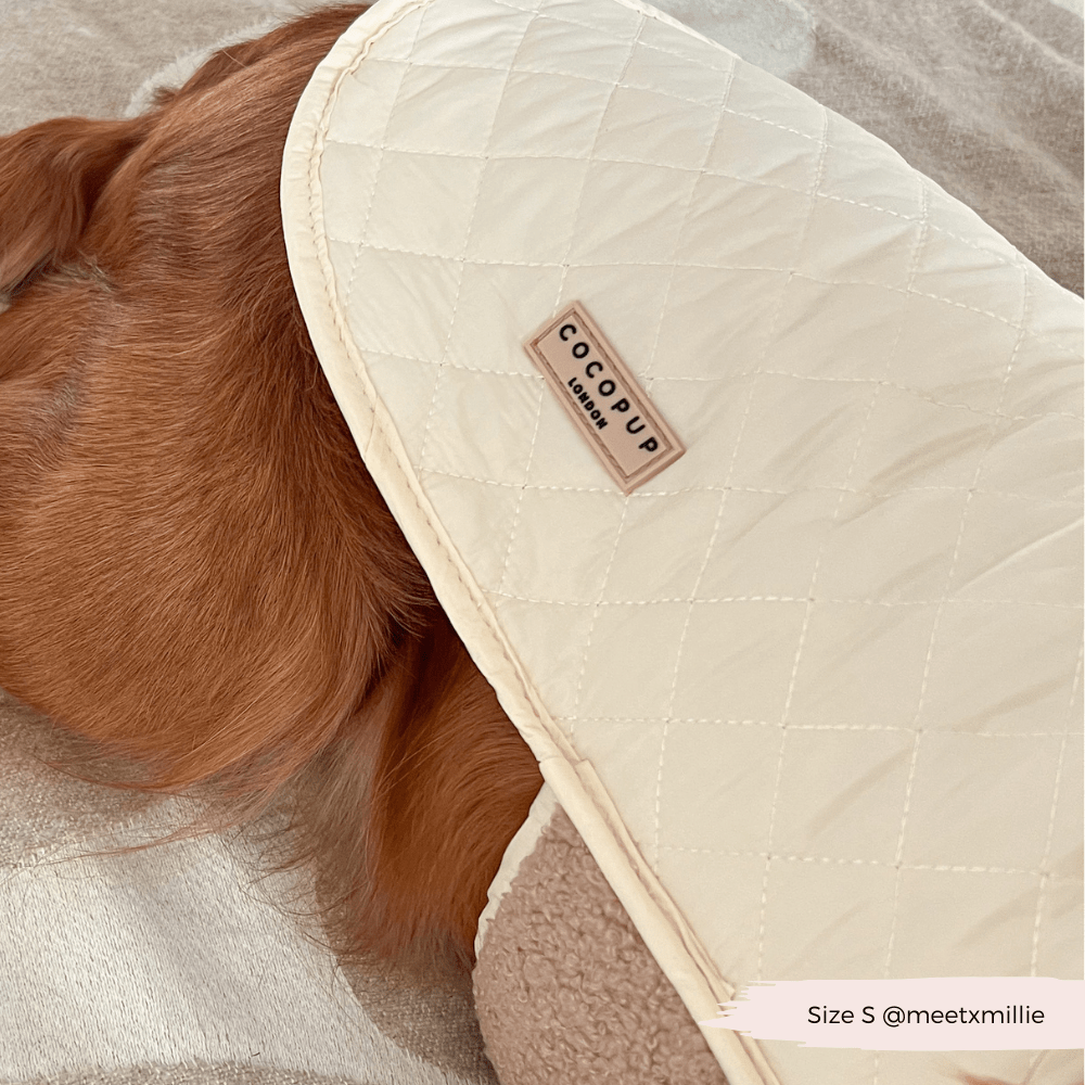 LUXE Quilted Dog Coat - Creamy Chai - THE BOXER