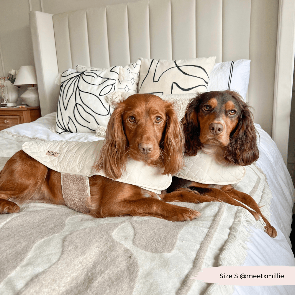 LUXE Quilted Dog Coat - Creamy Chai - THE BOXER