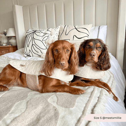 LUXE Quilted Dog Coat - Creamy Chai - THE BOXER