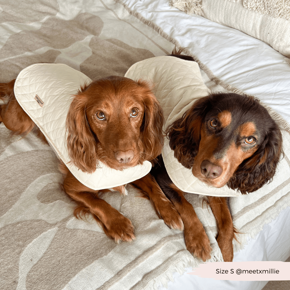 LUXE Quilted Dog Coat - Creamy Chai - THE BOXER