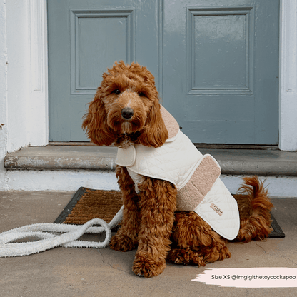 LUXE Quilted Dog Coat - Creamy Chai - THE BOXER