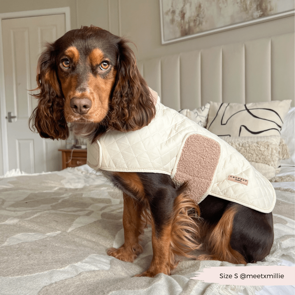 LUXE Quilted Dog Coat - Creamy Chai - THE BOXER