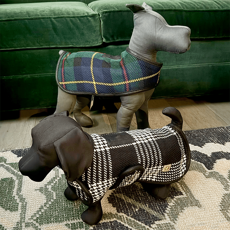 Navy and Green Tartan Blanket Coat - THE BOXER