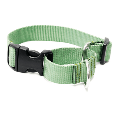 Nylon Martingale Loop Dog Collars Quick Release Buckle - THE BOXER