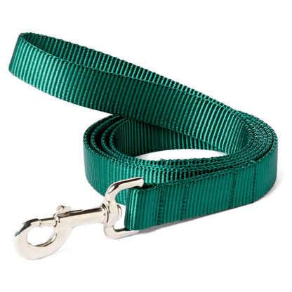 Nylon Webbing Dog Leash - THE BOXER